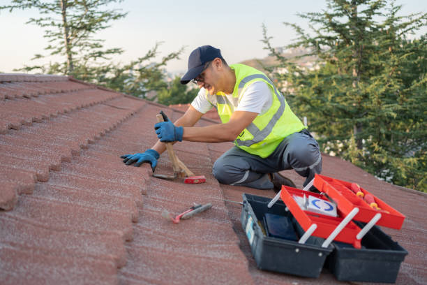 Best Roof Maintenance Services  in Walsenburg, CO